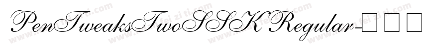 PenTweaksTwoSSK Regular字体转换